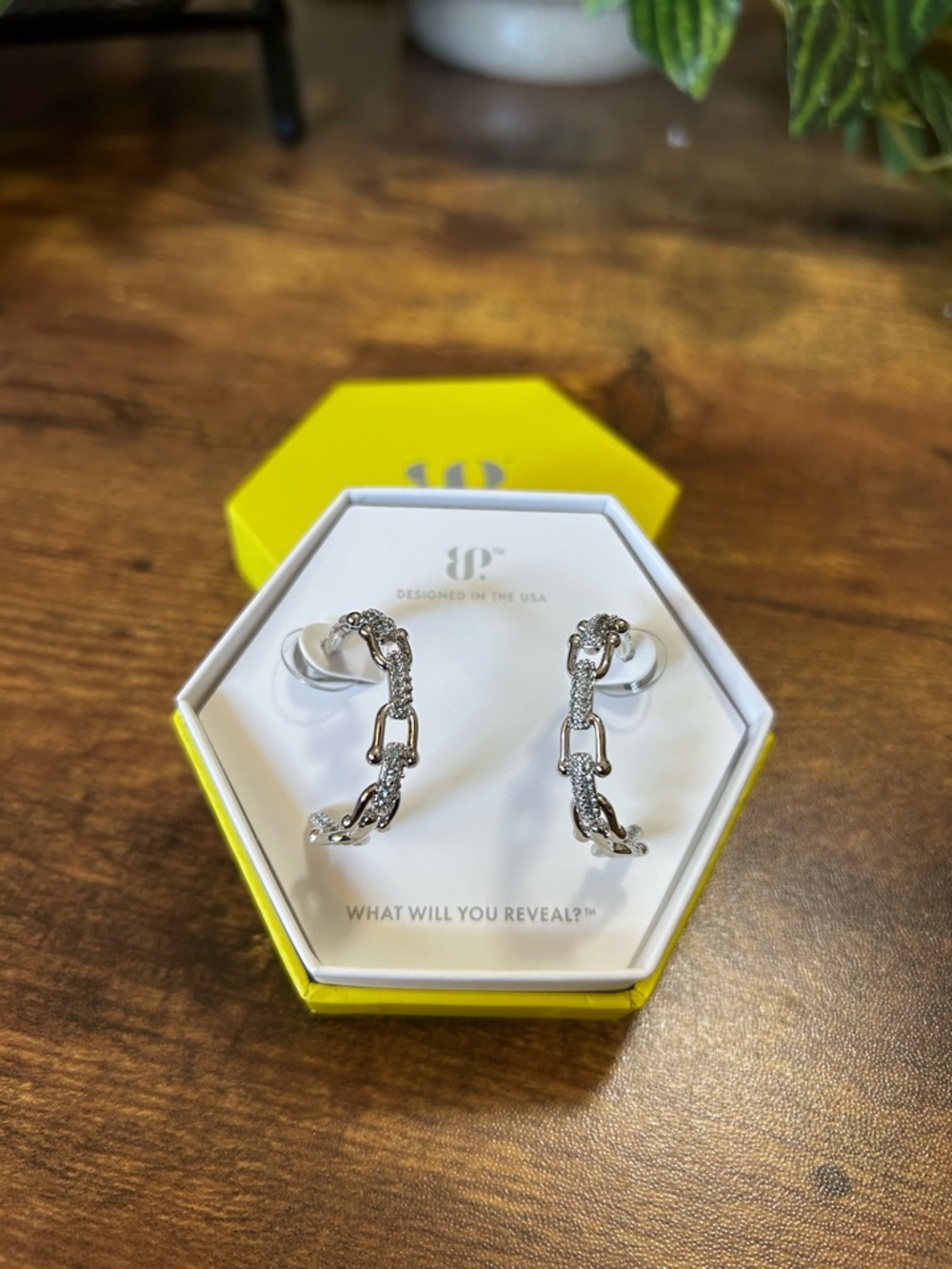 Bomb Party “A Chain Reaction” Rhodium Hoop Earrings- Great to pair with Outlaw